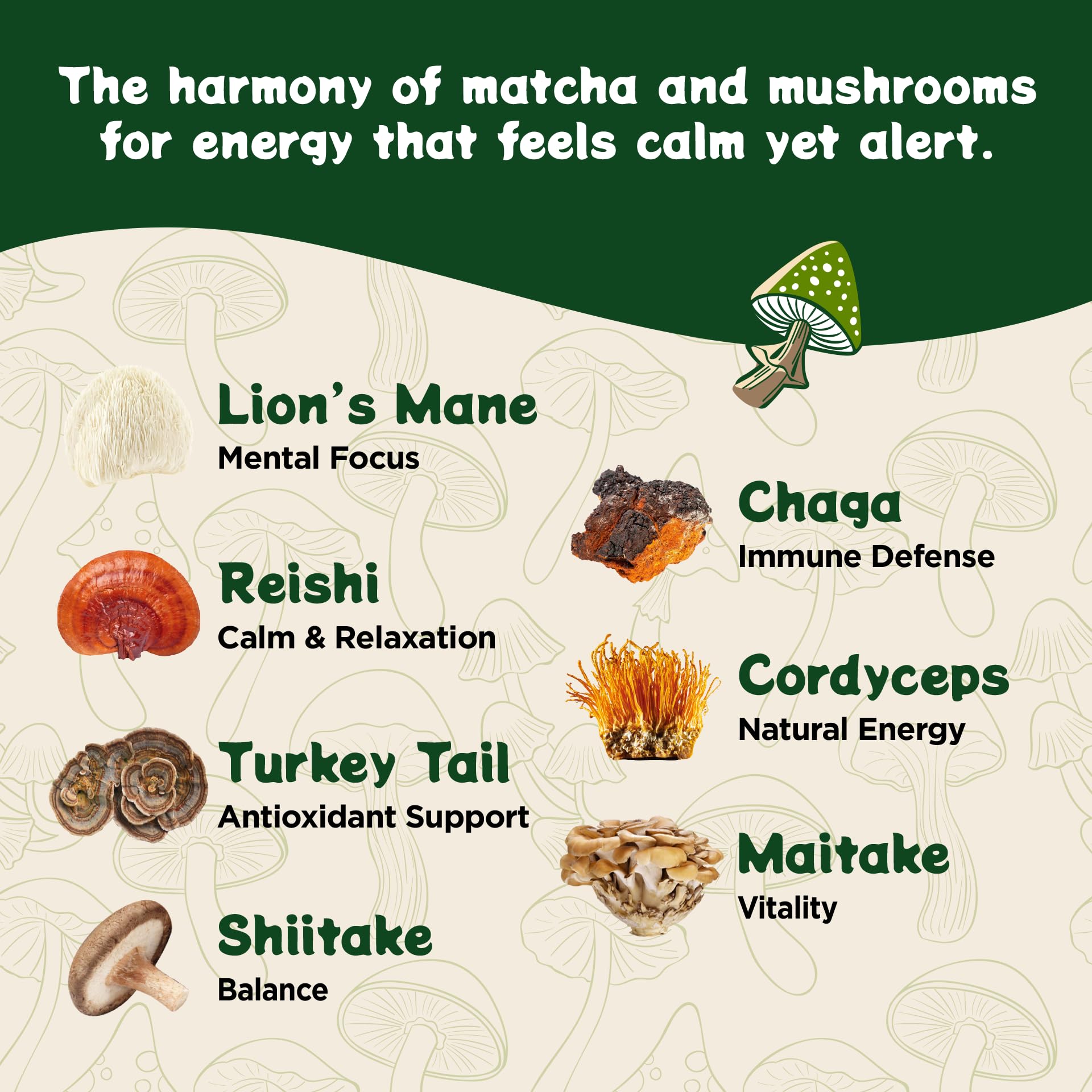 Melting Forest servings compared to a spoon to show 30-serving supply