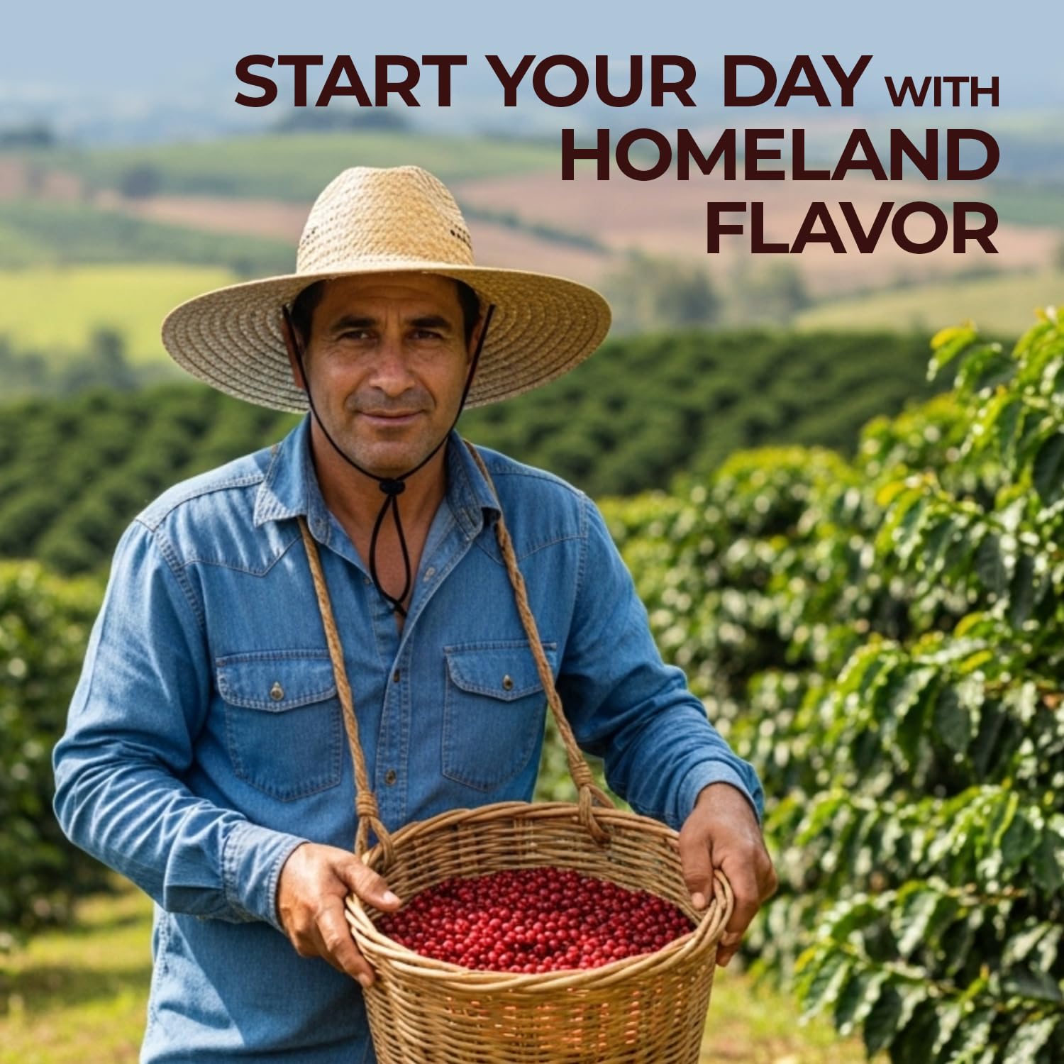 Mi Café es Oro label showing Honduran origin and authentic sourcing