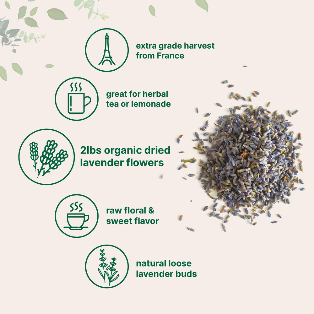 Micro Ingredients lavender flowers steeping in glass teapot offering fragrant infusion for tea and beverages