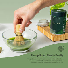 Midori Spring frothy whisked matcha in bowl, demonstrates smooth froth and preparation