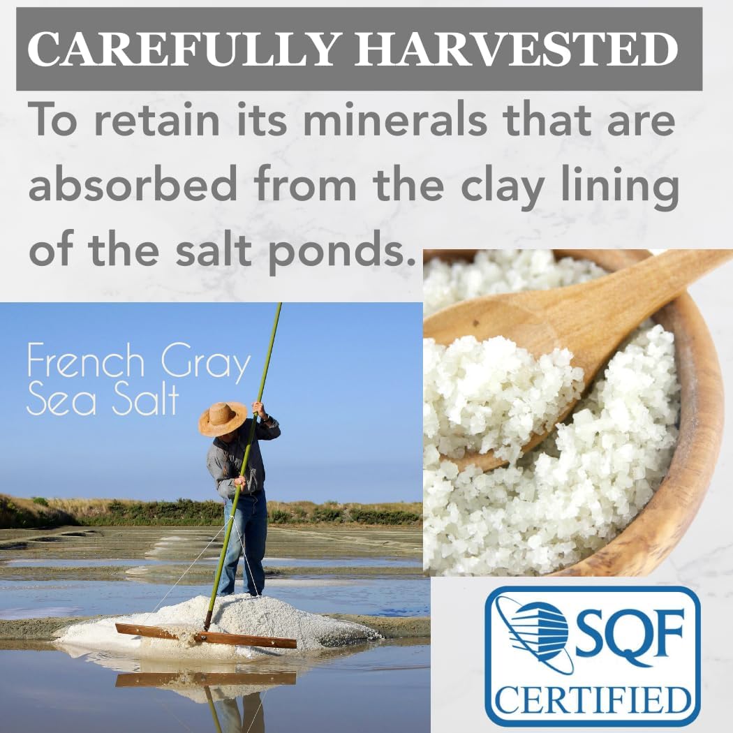 Mineral Celtic Salt in spoon for scale illustrating coarse grain size advantage