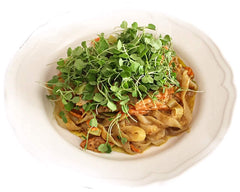 Miracle Noodle close-up of fettuccine strands highlighting silky texture