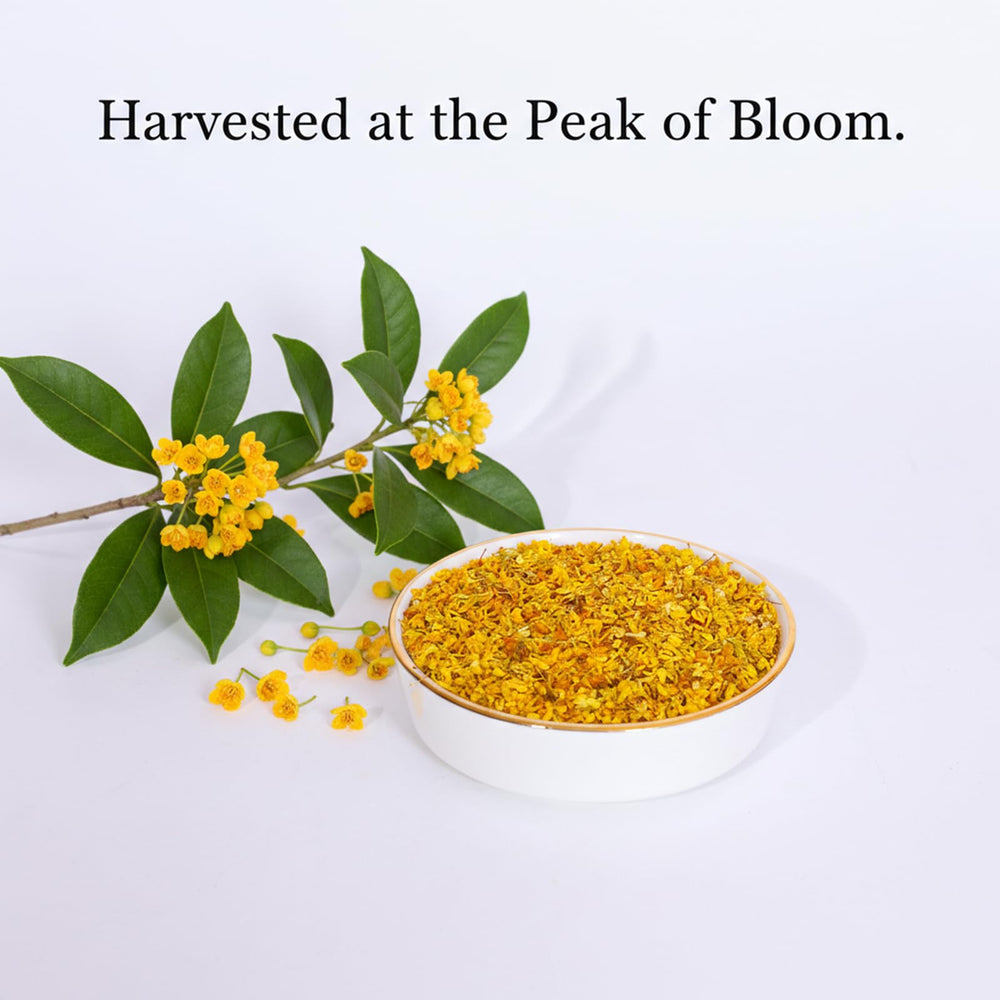MOCKRAND close-up of intact osmanthus flowers highlighting texture and quality