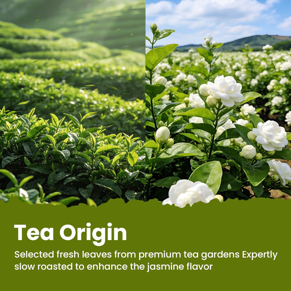 MODERN CHINA TEA SHOP iced jasmine pitcher demonstrating refreshing cold brew