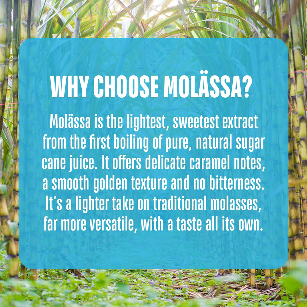 Molässa on a spoon closeup showing silky texture for baking use
