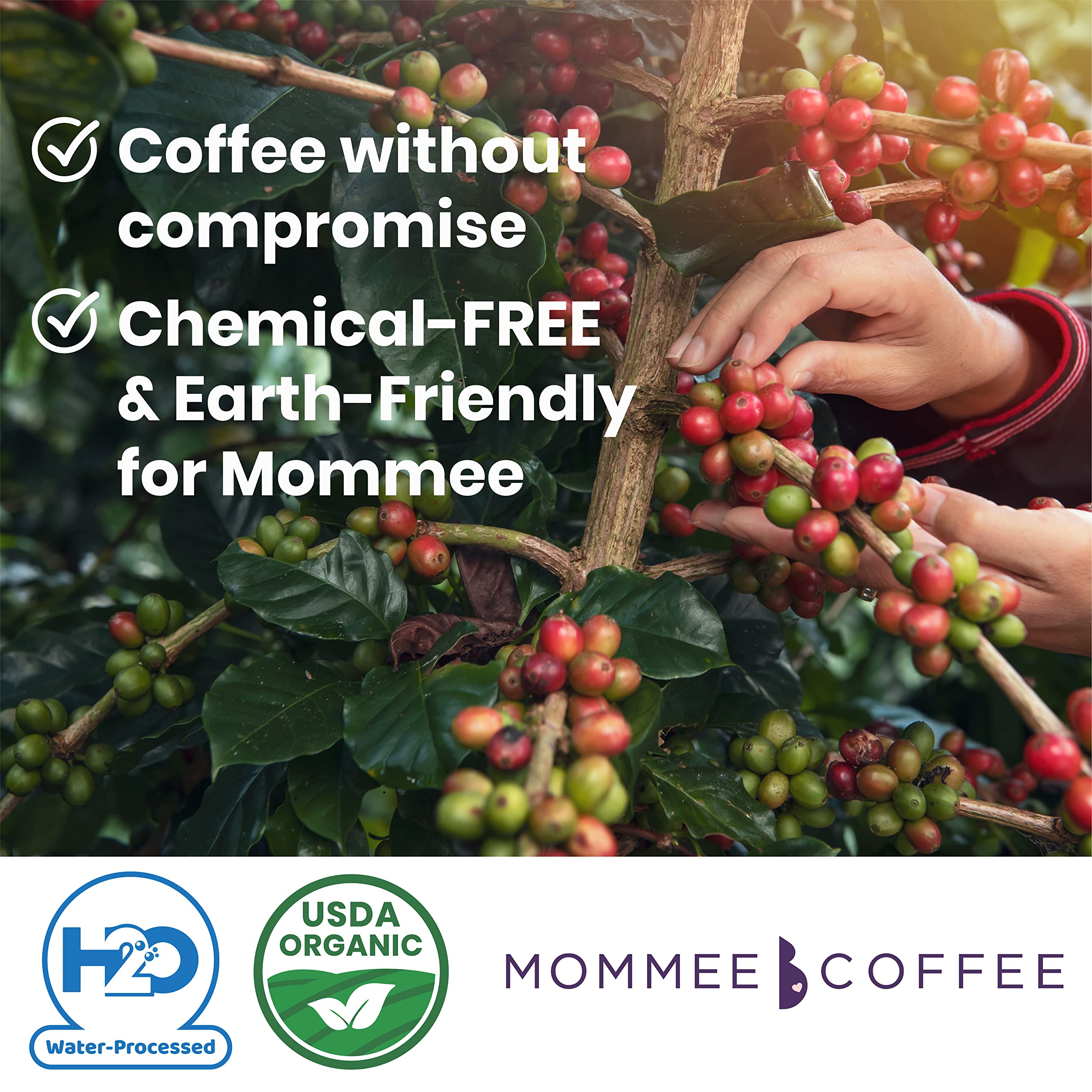 Mommee Coffee 22 oz bag next to a mug for scale, communicates generous quantity