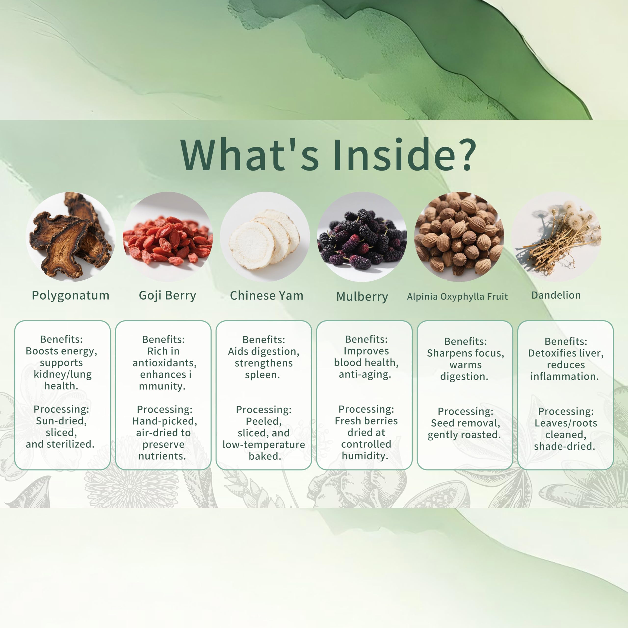 Monbrizz pyramid tea bag close-up displaying whole herbs and visible ingredients for quality