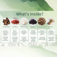 Monbrizz pyramid tea bag close-up displaying whole herbs and visible ingredients for quality