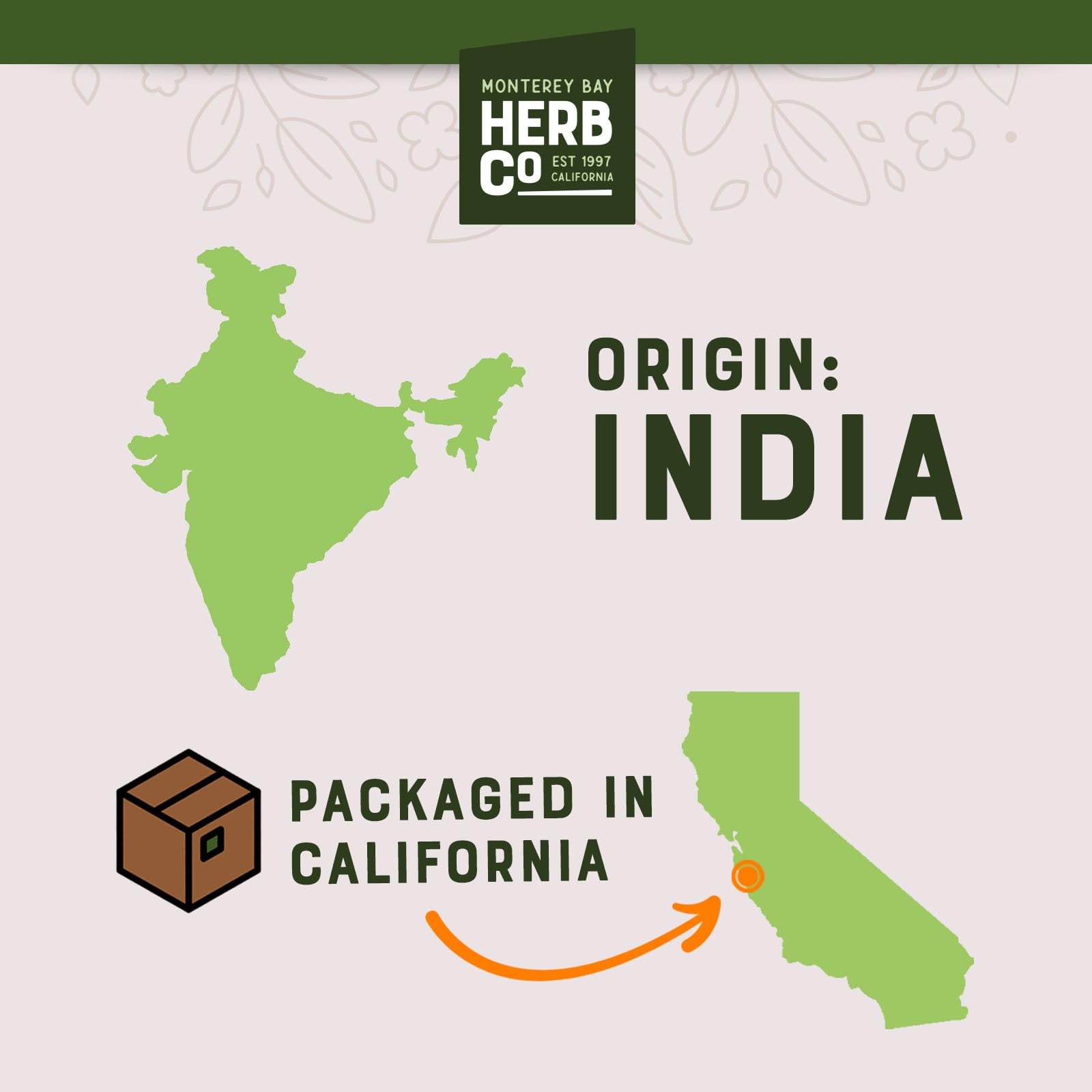 MONTEREY BAY HERB CO brewing setup with French press and granules to demonstrate easy preparation