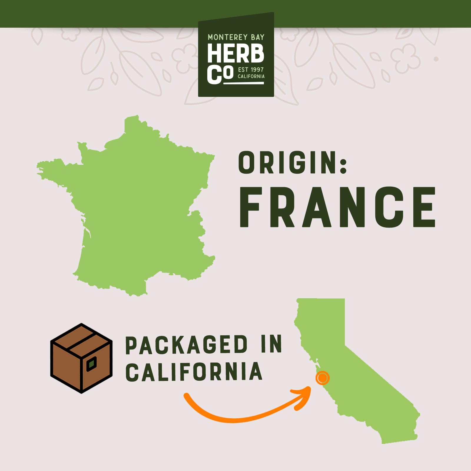 MONTEREY BAY HERB CO gentian root beside brew kettle, illustrates craft beer bittering option