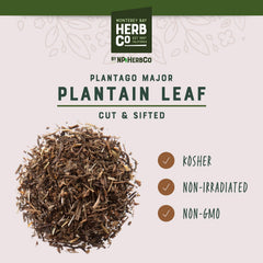 MONTEREY BAY HERB CO brewed plantain tea in cup, gentle flavor and calming ritual