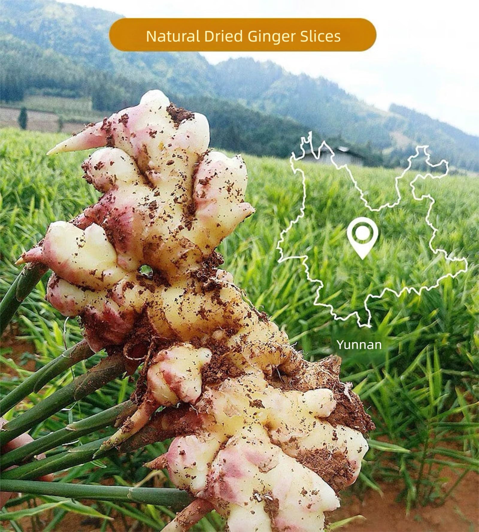 MOORCHOCO close-up of dried ginger texture highlighting natural fibers and concentrated aroma preservation