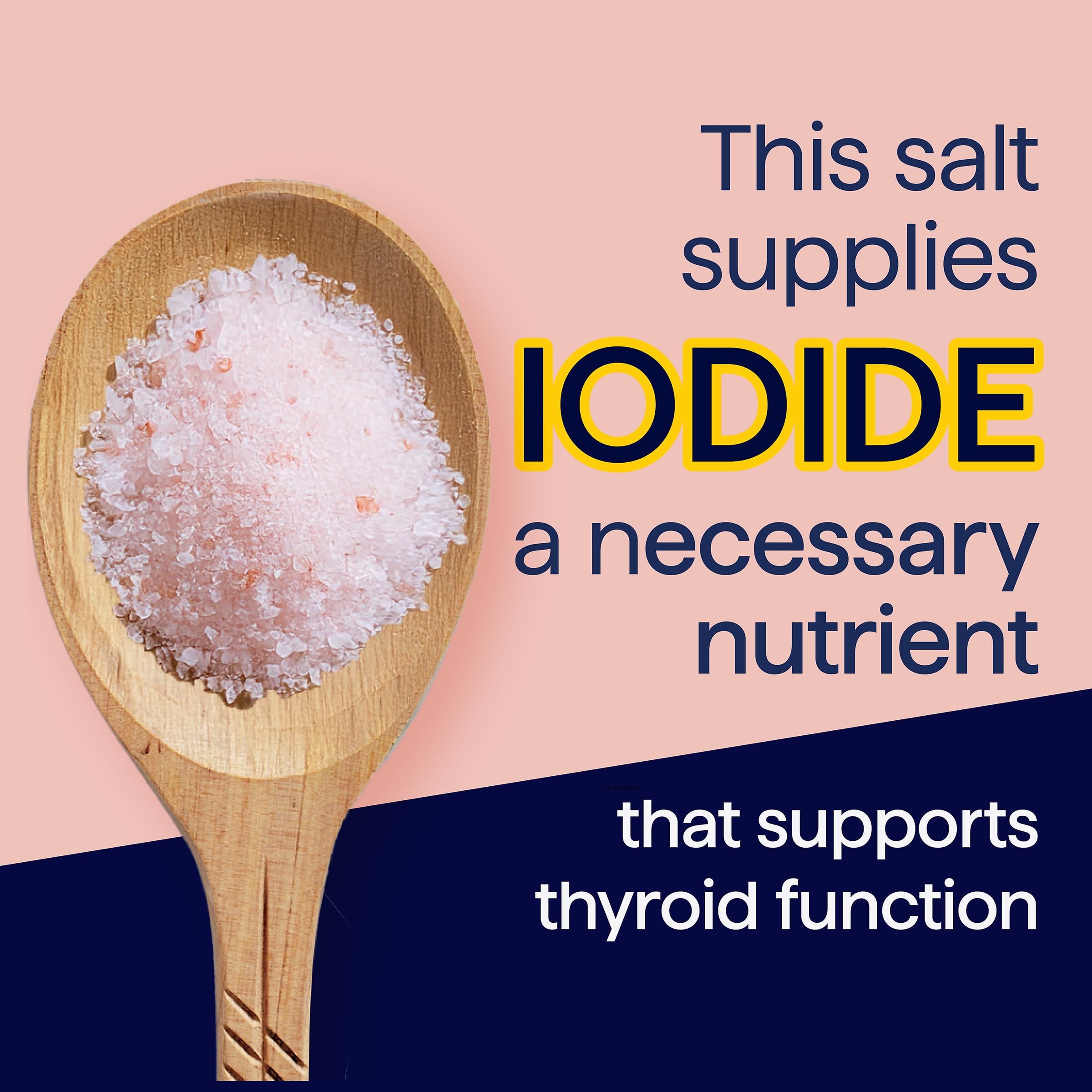 Morton pouring salt into a shaker demonstrating fast flow and convenience for table use