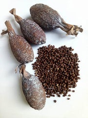 Motherland Goods front packaging with whole pods showing fresh citrus-pepper aroma