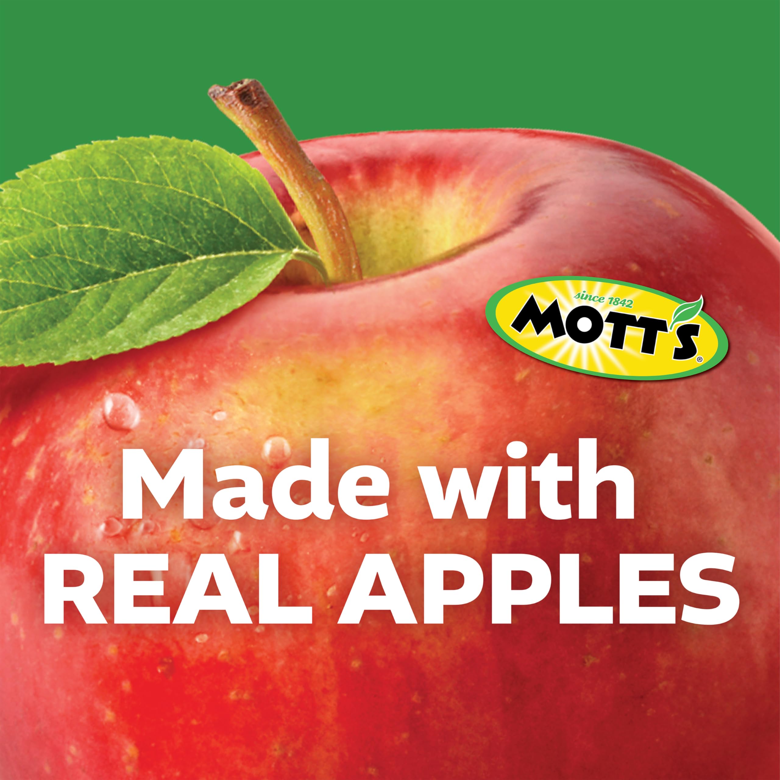 Mott's blueberry pouch beside blueberries emphasizing tart-sweet flavor boost
