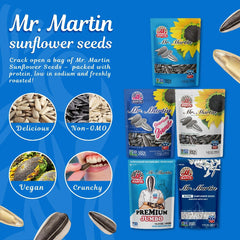 MR. MARTIN handheld snacking scene illustrating portable convenience
