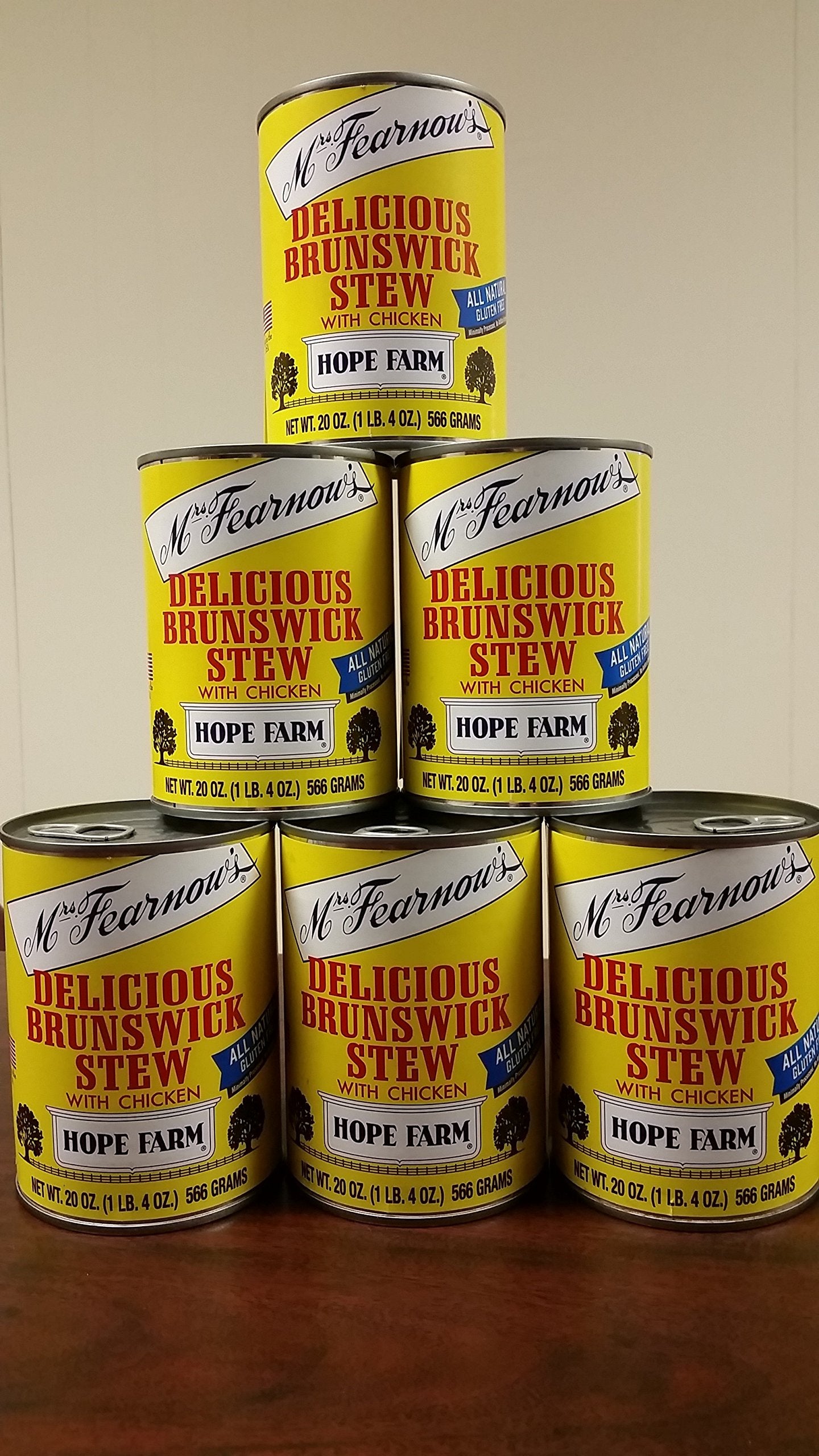 Mrs. Fearnow's close-up of stew texture highlighting shredded chicken and vegetables for appetizing appeal