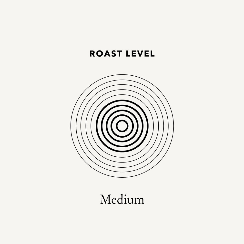 Mt. Comfort Coffee freshly ground texture highlighting aroma retention and even grind