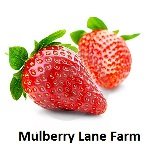 Mulberry Lane Farms oat bran label focusing on USDA Organic and Non-GMO certification benefits