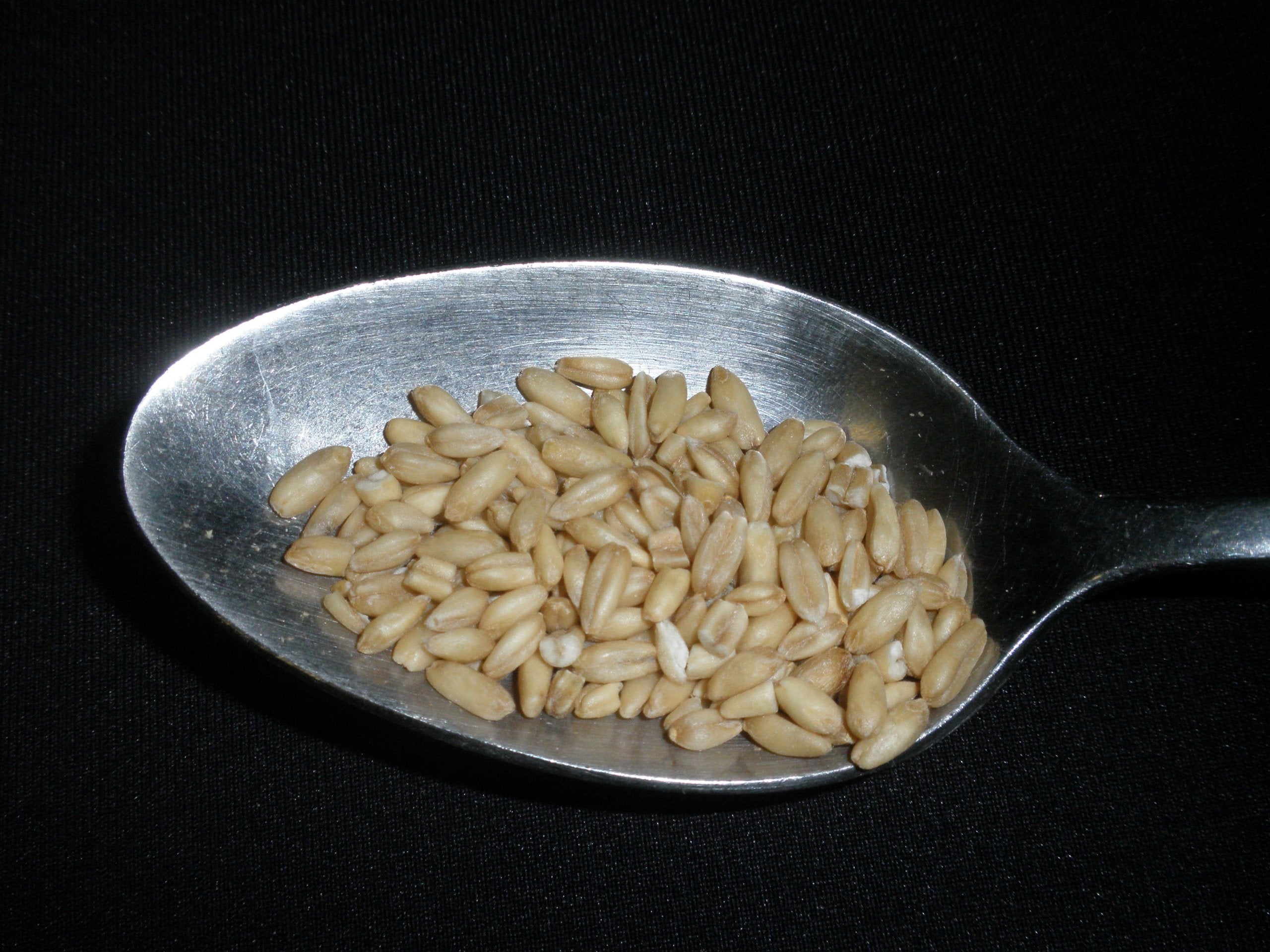 Mulberry Lane Farms oat groats poured into bowl highlighting whole-grain texture and versatility