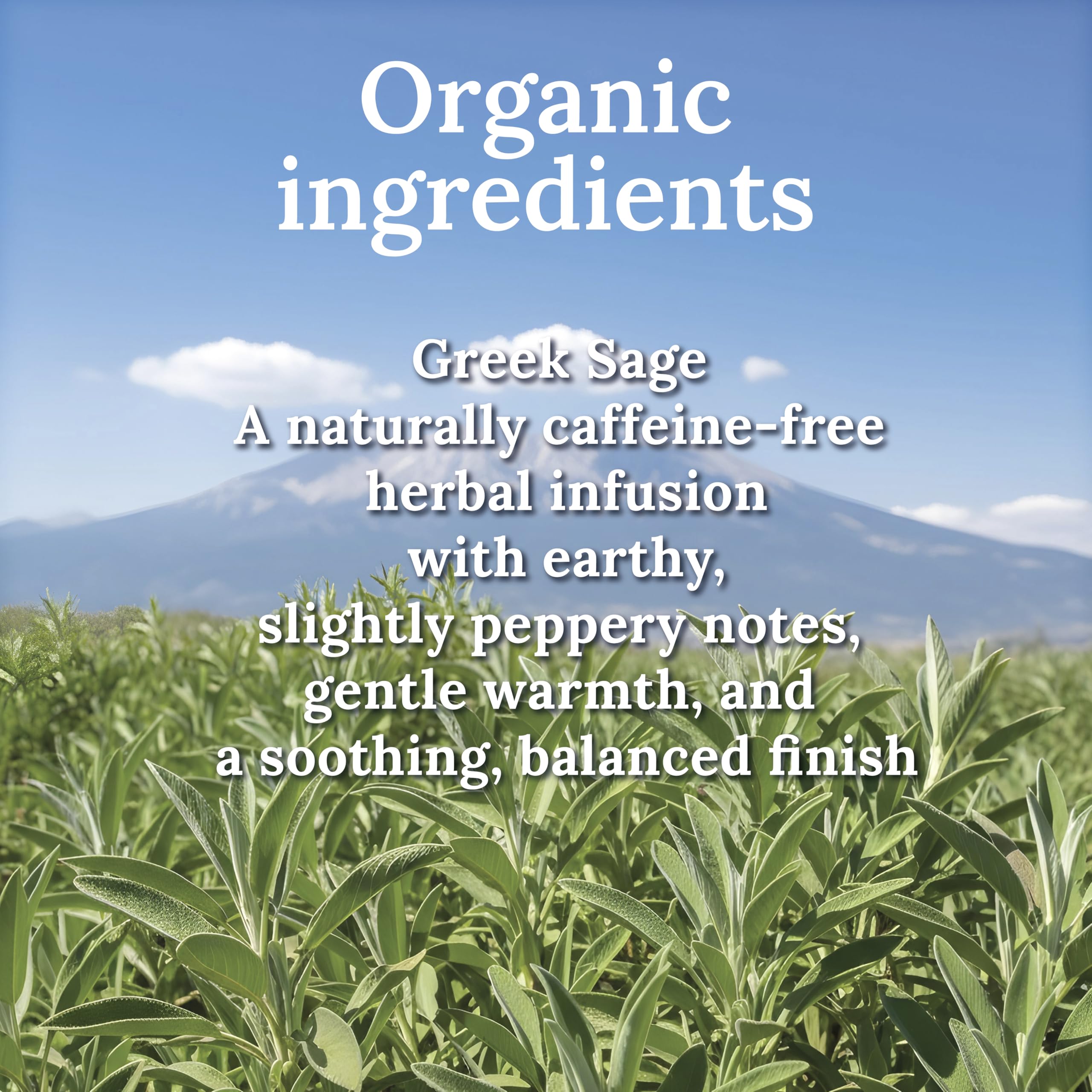 My Land pouring brewed sage tea into cup showing comforting, caffeine-free benefit