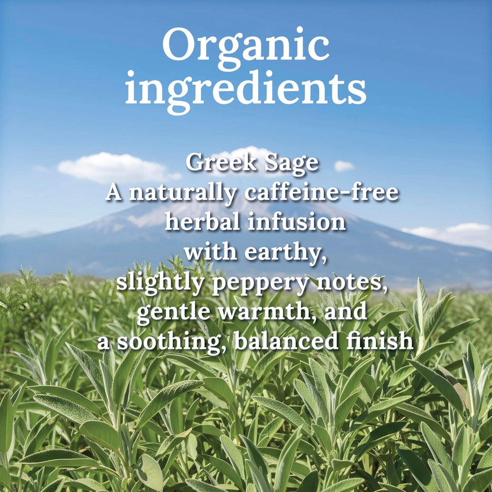 My Land pouring brewed sage tea into cup showing comforting, caffeine-free benefit