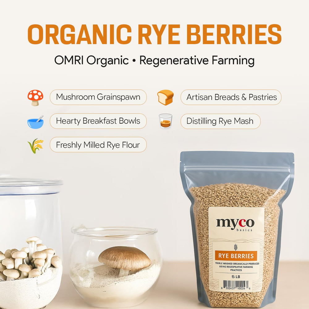 Mycology Basics close-up of rye kernel texture highlighting purity and consistent hydration