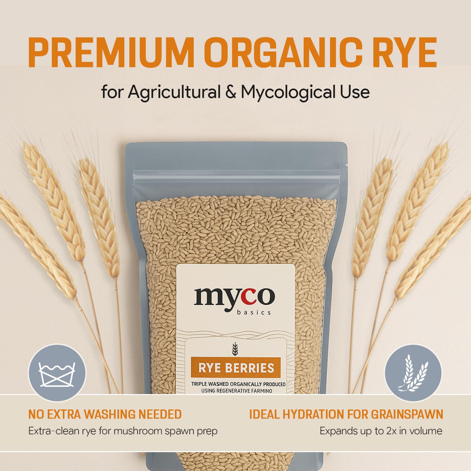 Mycology Basics rye grains steaming in pot for spawn prep showing even hydration advantage