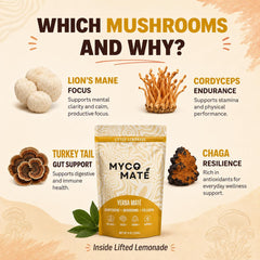 MycoMate scoop beside container label highlighting collagen and mushroom blend