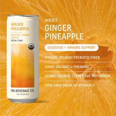 NA Beverage close-up of can label highlighting ingredients and prebiotic benefit for gut support