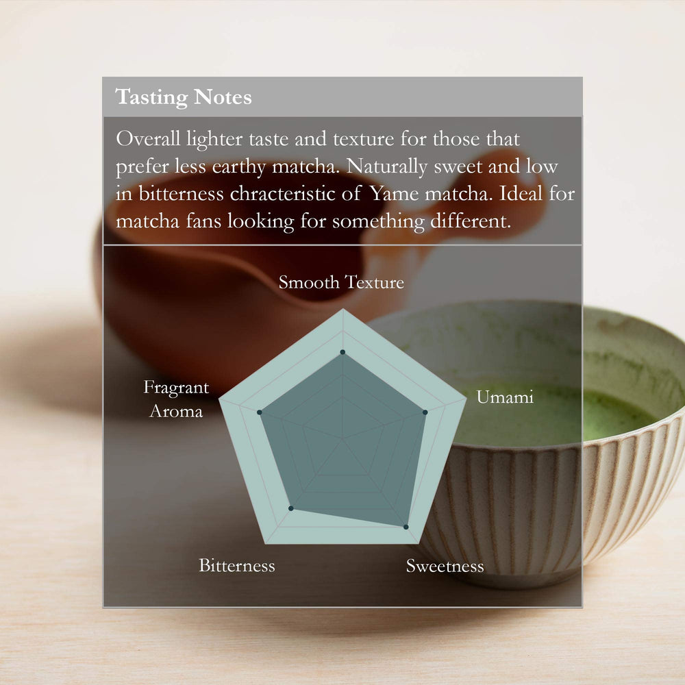 Naoki Matcha whisked usucha in bowl demonstrating frothy smoothness and flavor