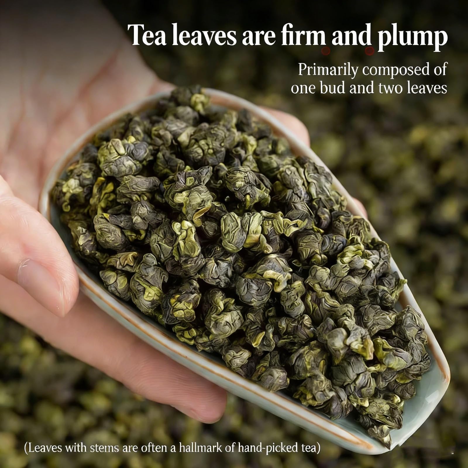 NASLAPH brewed tea in cup with clear liquor, displays floral aroma and clarity