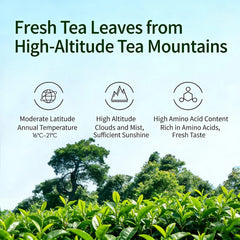NASLAPH loose leaf close-up shows tight glossy pellets and aroma-rich texture