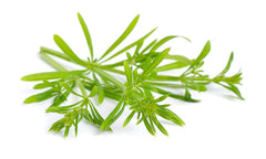 Nature Tea cleavers packet beside a measuring spoon to show 4 oz portion and practical scale