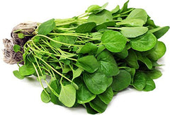 Nature Tea brewed watercress infusion in cup showing steaming pour and aromatic herbal benefit