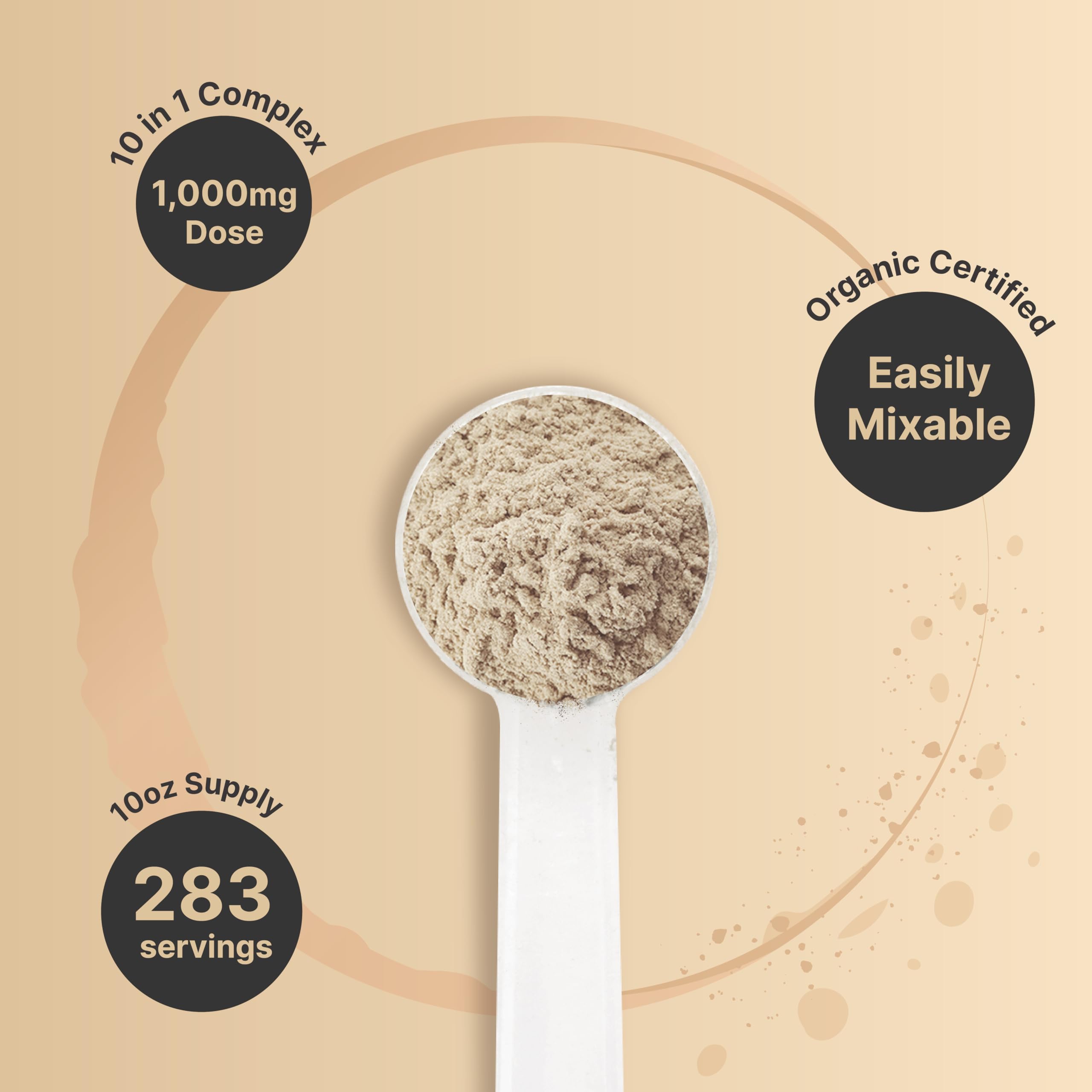 NatureBell blend ingredients flatlay with ten mushrooms illustrating diversity