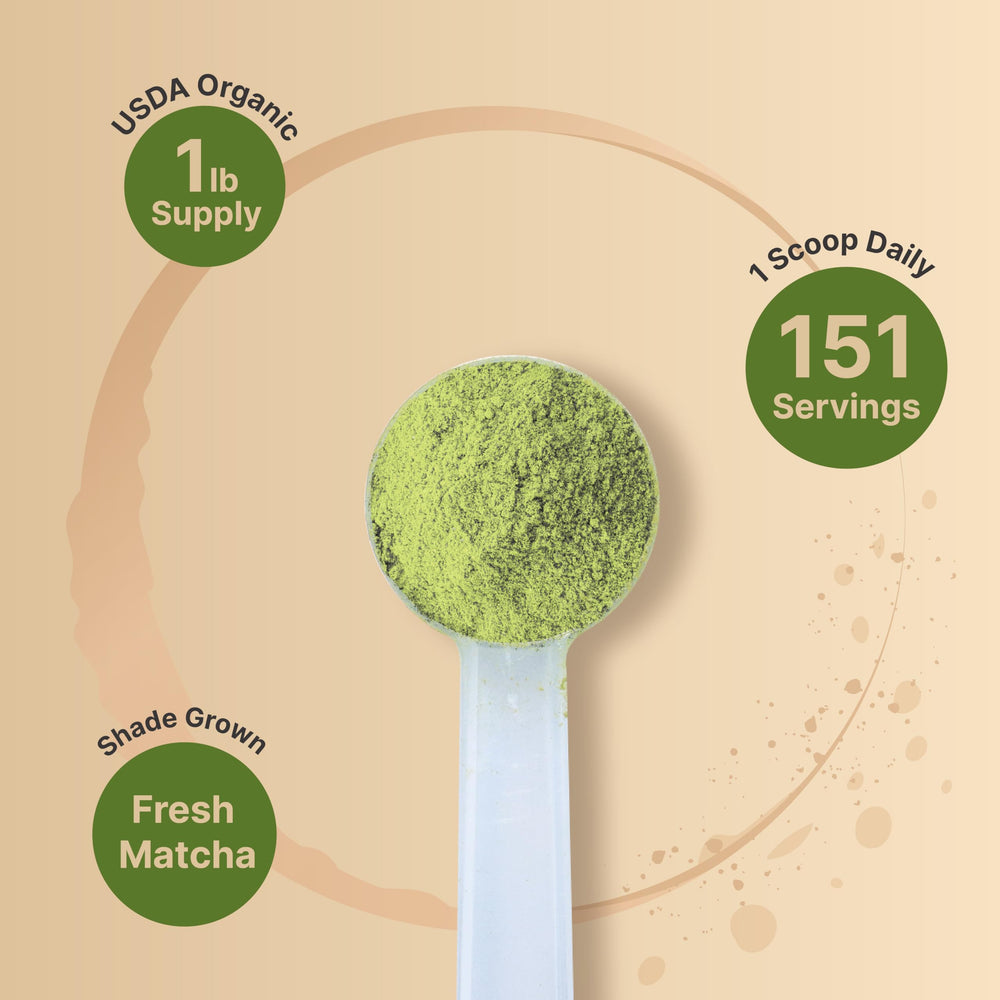 NatureBell matcha prepared latte in cup with foam benefit: creamy homemade café quality