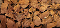 Naturejam cocolmeca root in hand for scale demonstrating one-pound supply and portioning