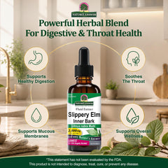 Nature's Answer dropper close-up for precise dosing and convenience
