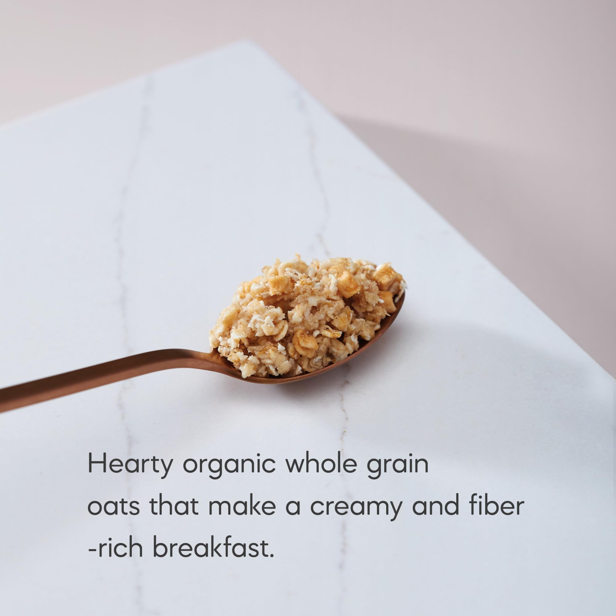 Nature's Path prepared bowl of apple cinnamon oatmeal, warm comforting meal