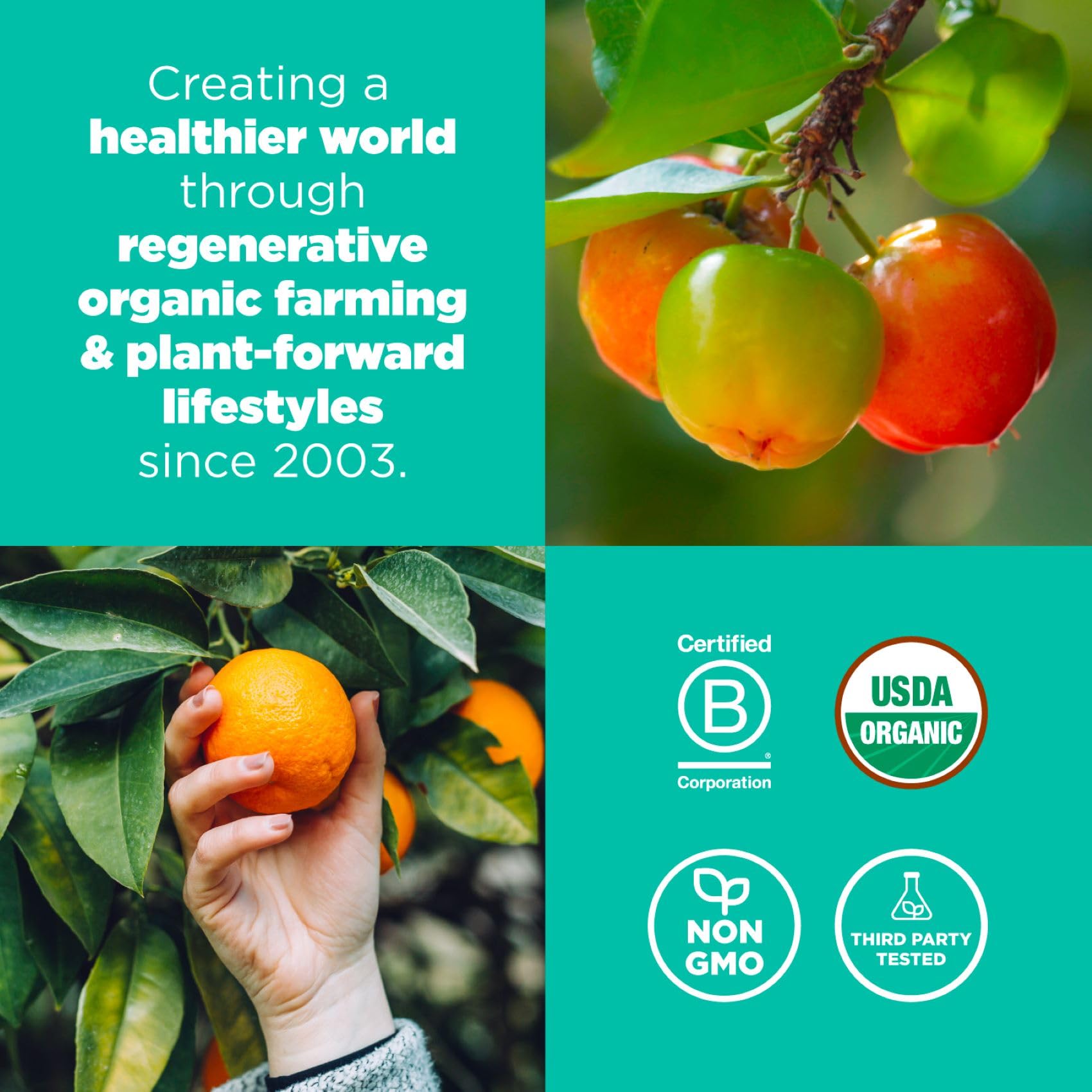 Navitas Organics camu orange acerola fruits display showing whole-fruit sourcing benefit