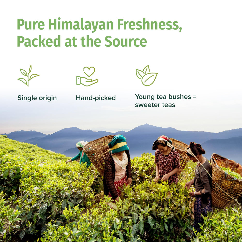Nepal Tea steeping cup with brewed tea offering warm, low-bitterness flavor