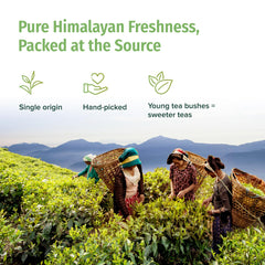 Nepal Tea steeping cup with brewed tea offering warm, low-bitterness flavor