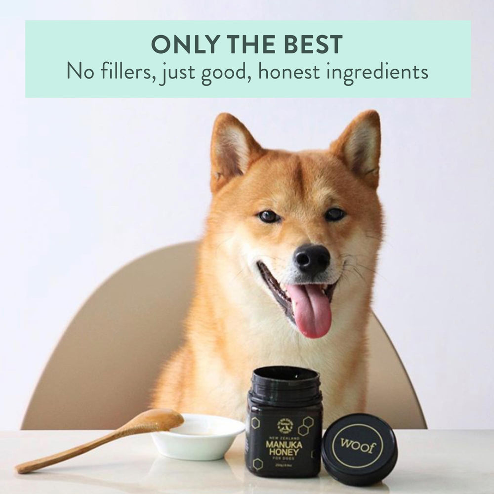 The New Zealand Natural Pet Food Co. teaspoon measuring serving showing portion-control benefit