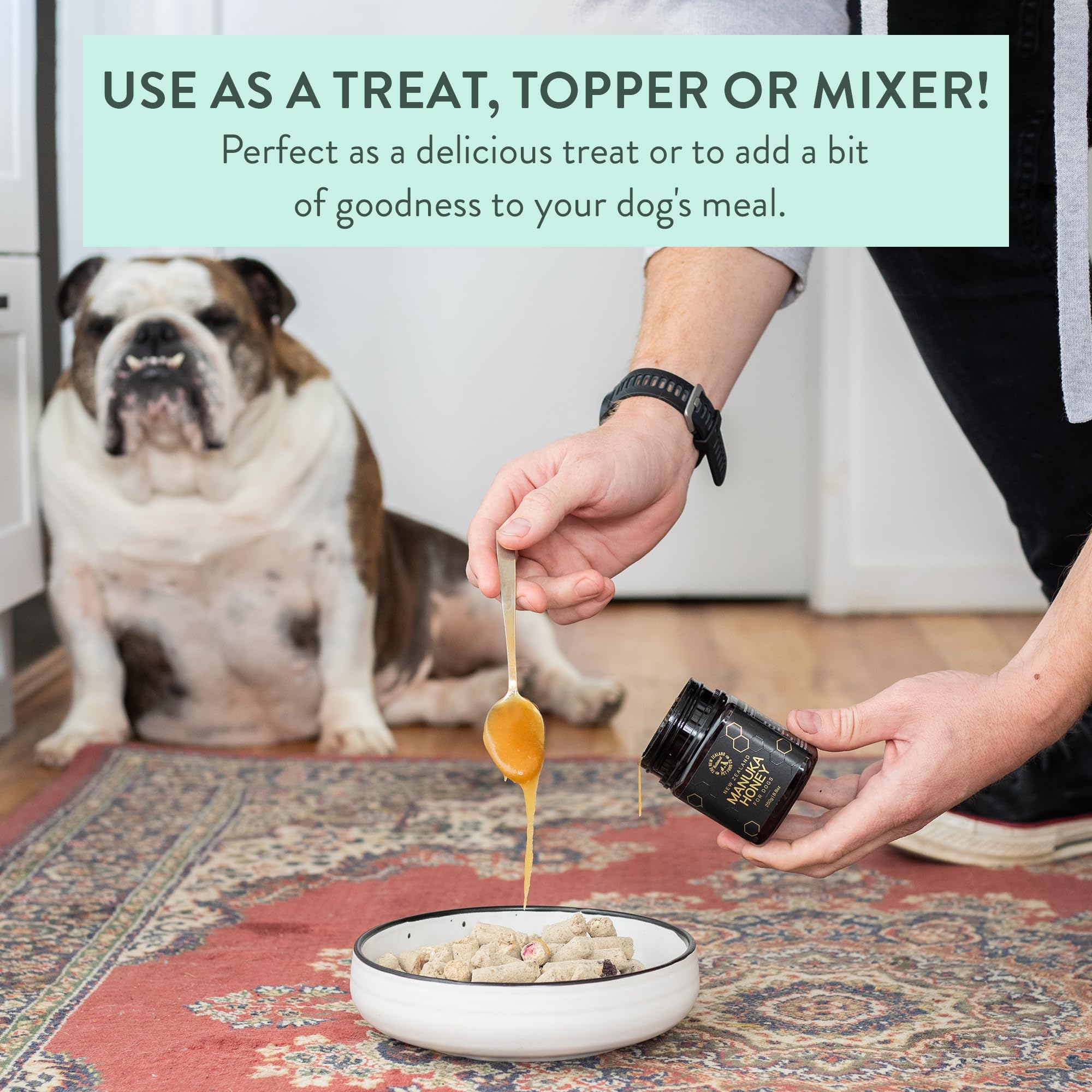 The New Zealand Natural Pet Food Co. honey used as a topper on dog kibble for added flavor benefit