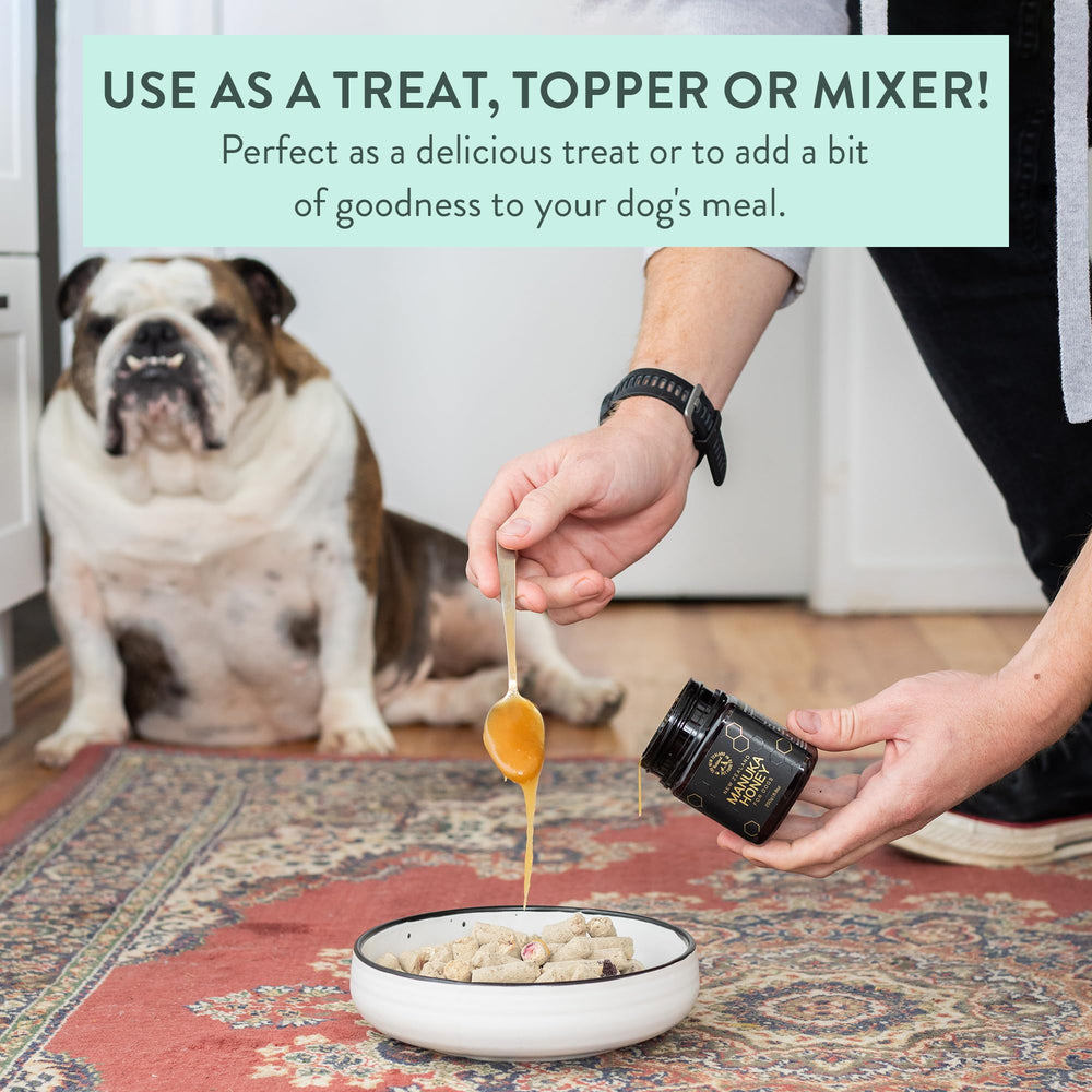The New Zealand Natural Pet Food Co. honey used as a topper on dog kibble for added flavor benefit