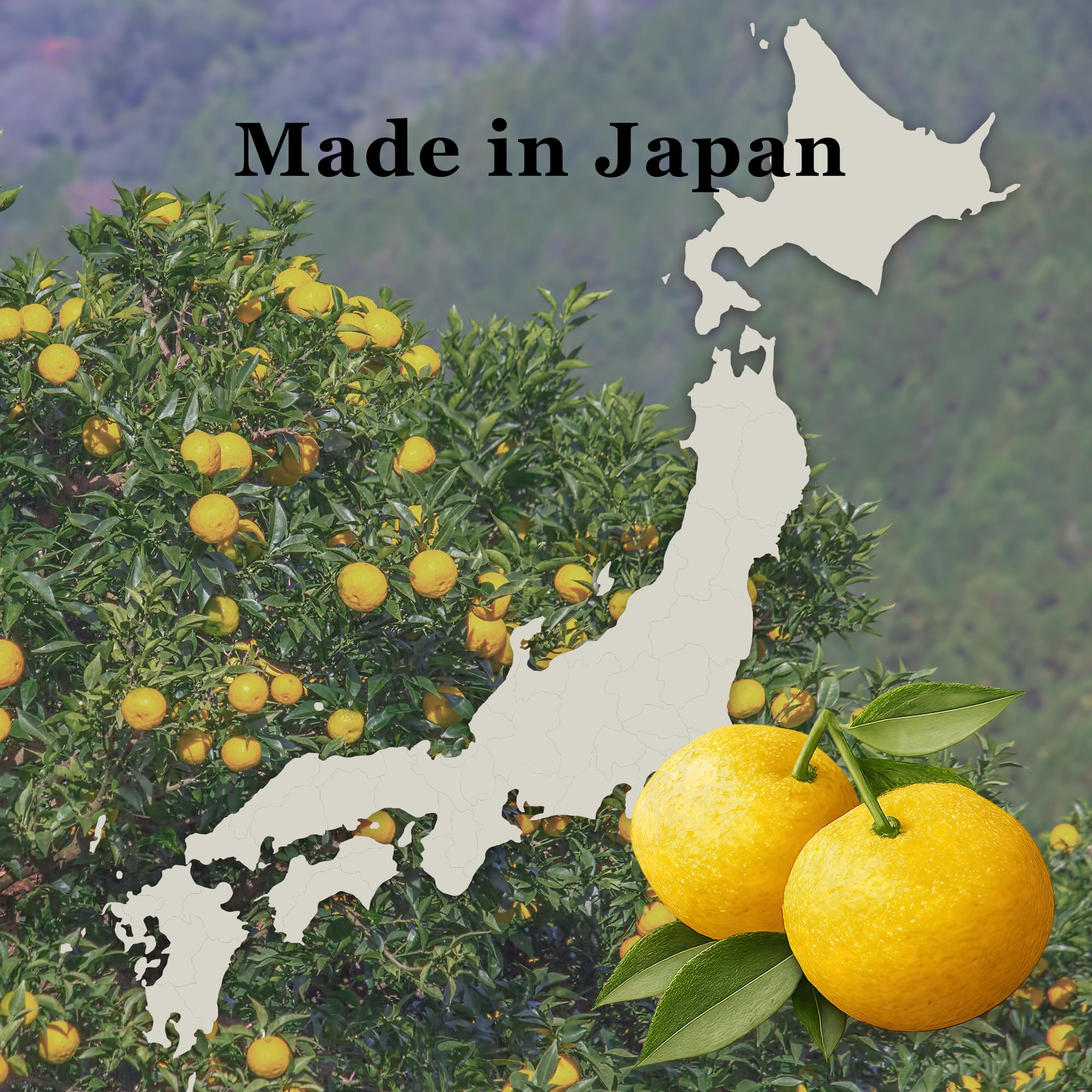 にほんのごはん sauce texture drops close-up revealing smooth consistency and balanced umami