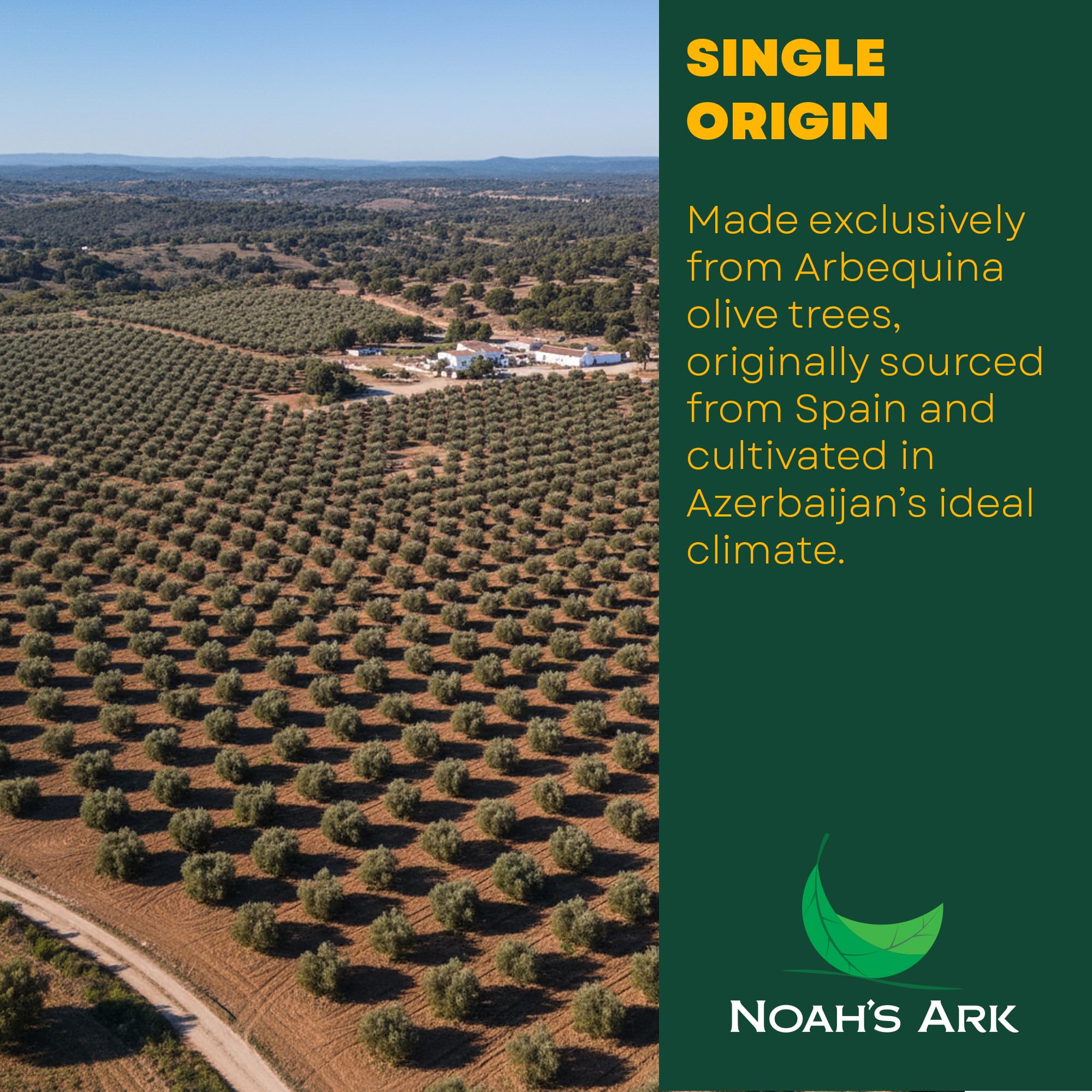 Noah's Ark oil texture close-up showing clear color and premium quality