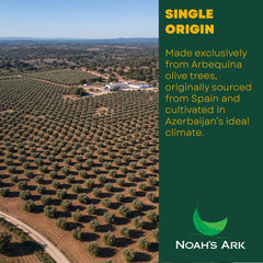Noah's Ark oil texture close-up showing clear color and premium quality