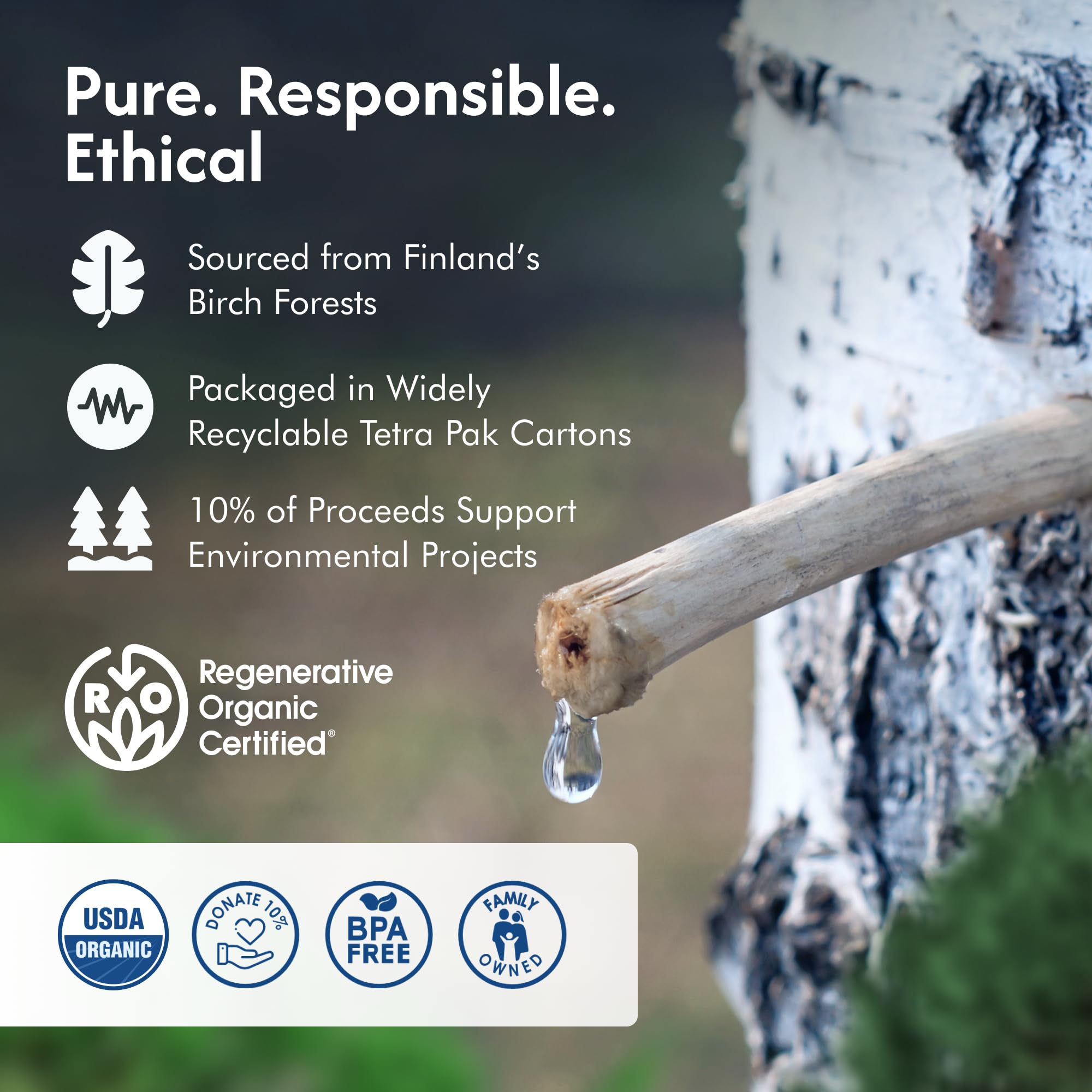 Close-up of Nordic Tree Water ingredient label showing natural nutrient transparency
